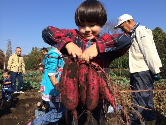 🍓 이즈미 만남 농업마을 (이즈미 후레아이 노노 사토) 이미지 5